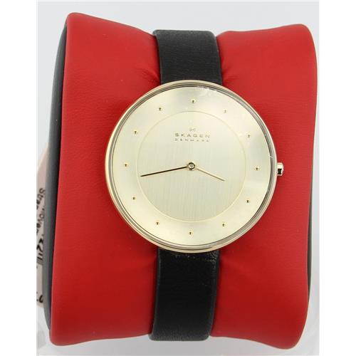 Luxury Brands Skagen SKW2262 768680211221 B00NBPWMS4 Fine Jewelry & Watches
